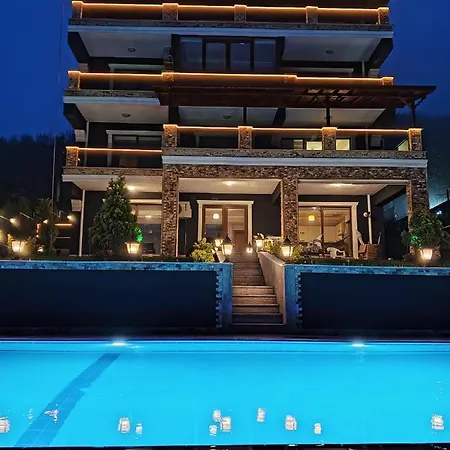Hotel Sapanca Montana *